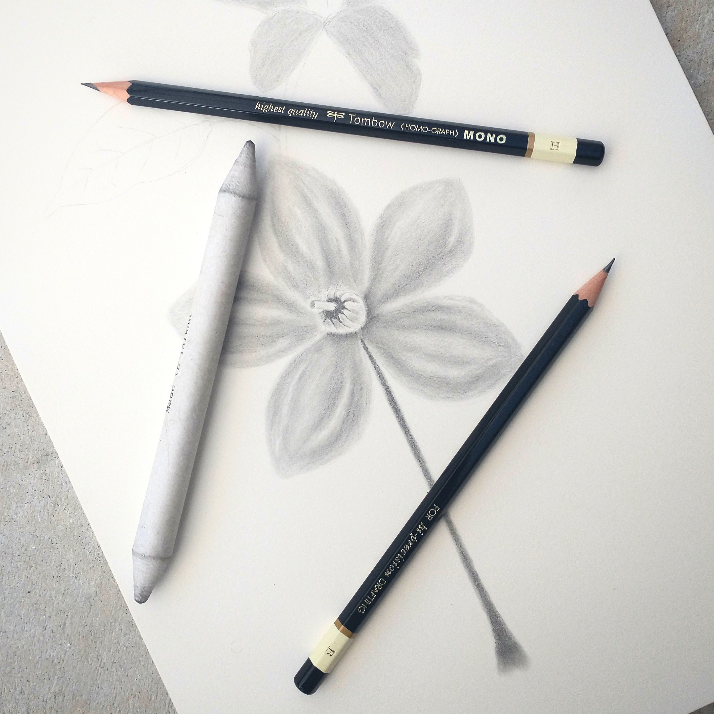 Drawing techniques: pencil drawing for beginners - Gathered